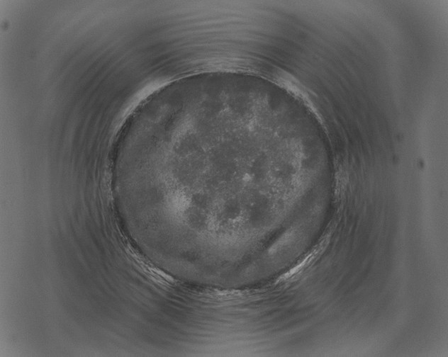 X0000070401019200606231757