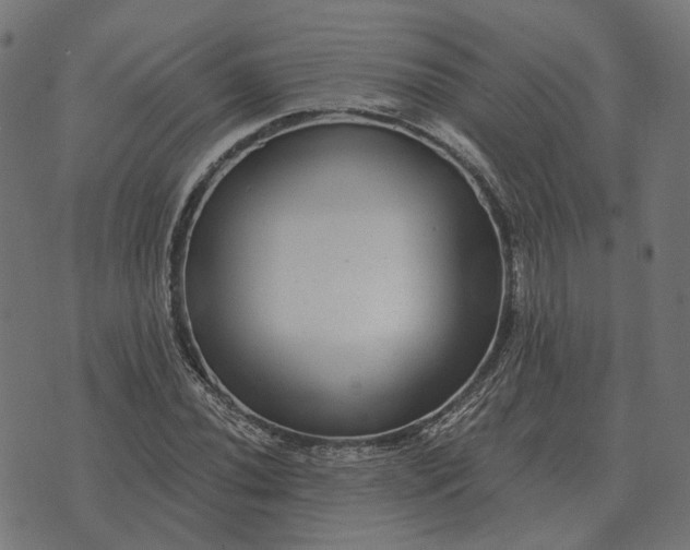 X0000070401020200606231757