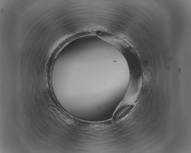 X0000070401022200606231757