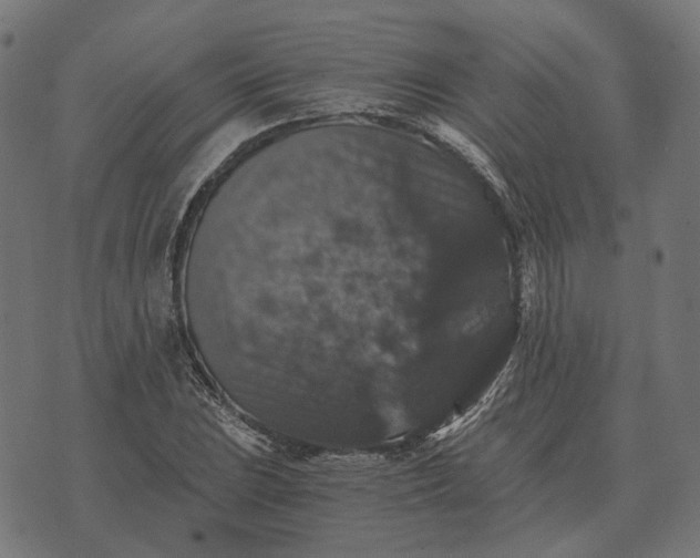 X0000070401023200606231757