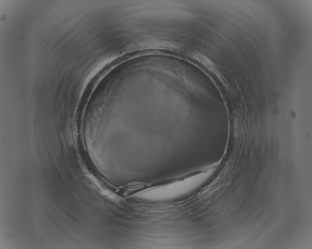 X0000070401024200606231757