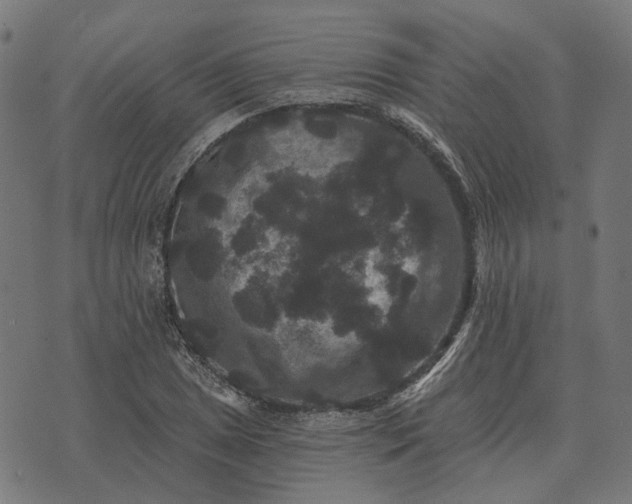 X0000070401025200606231757