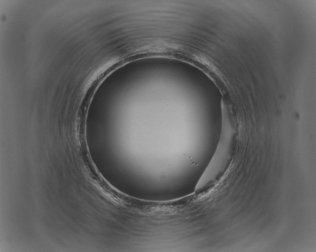 X0000070401026200606231757