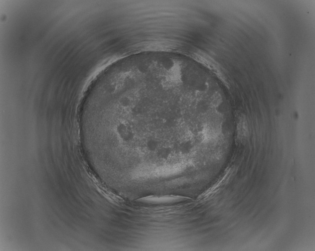 X0000070401027200606231757