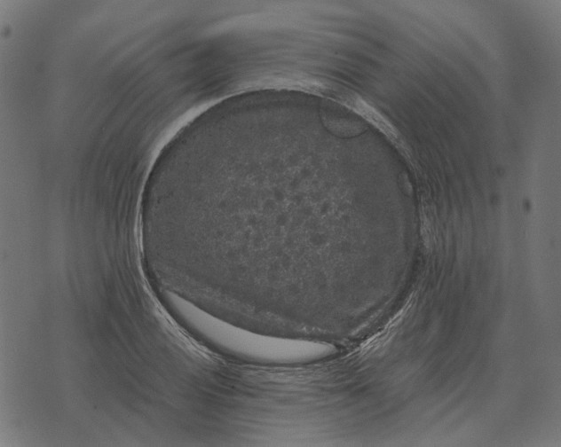 X0000070401028200606231757