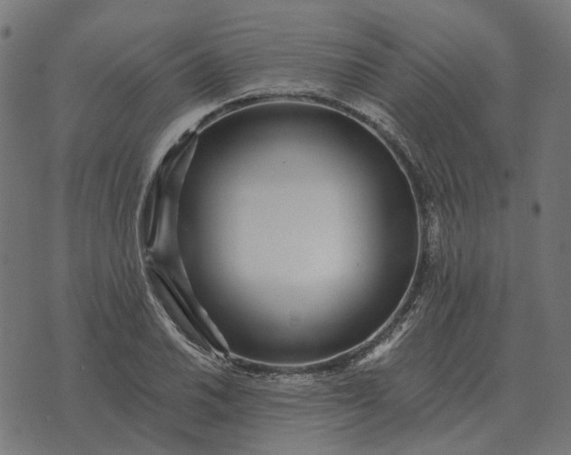 X0000070401030200606231757