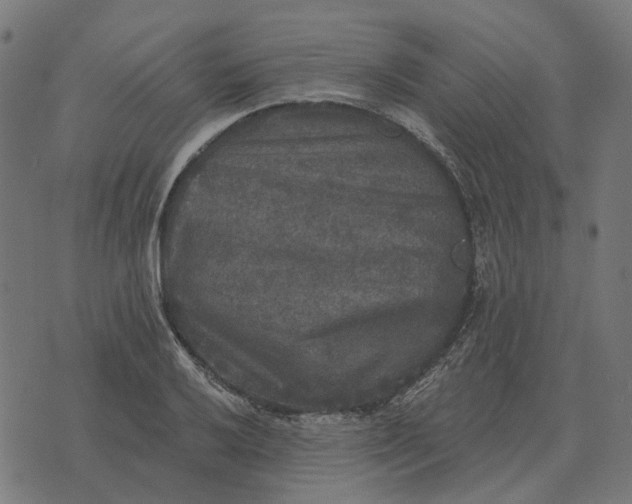 X0000070401032200606231757