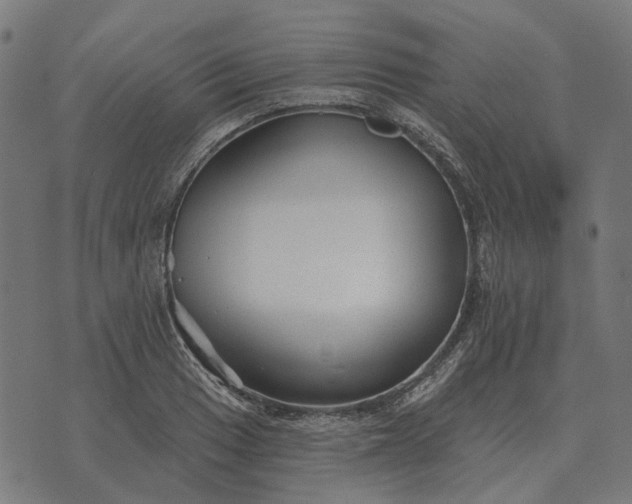 X0000070401033200606231757