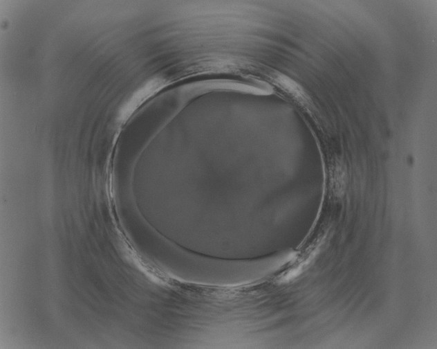 X0000070401034200606231757