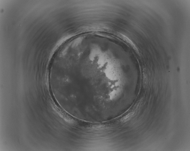 X0000070401035200606231757