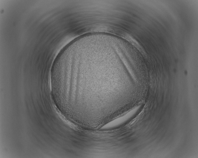 X0000070401036200606231757