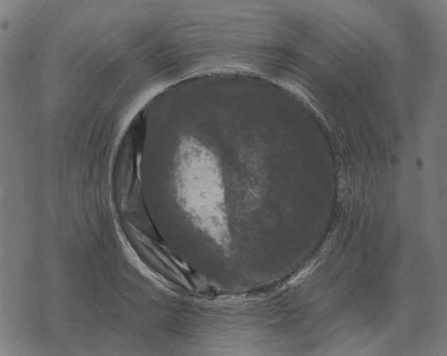 X0000070401038200606231757