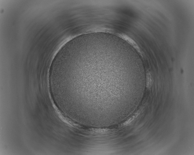 X0000070401039200606231757