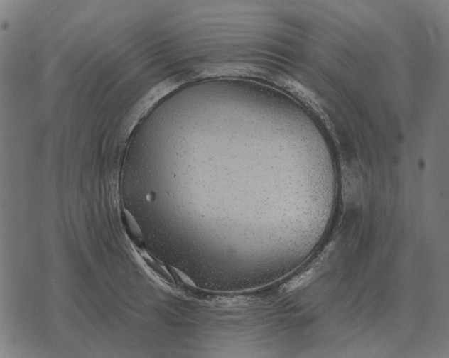 X0000070401041200606231757