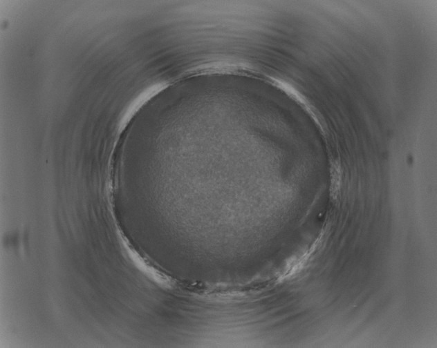 X0000070401042200606231757