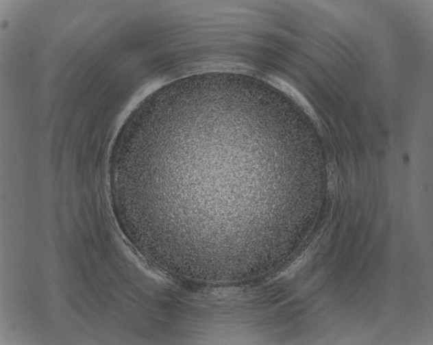 X0000070401043200606231757