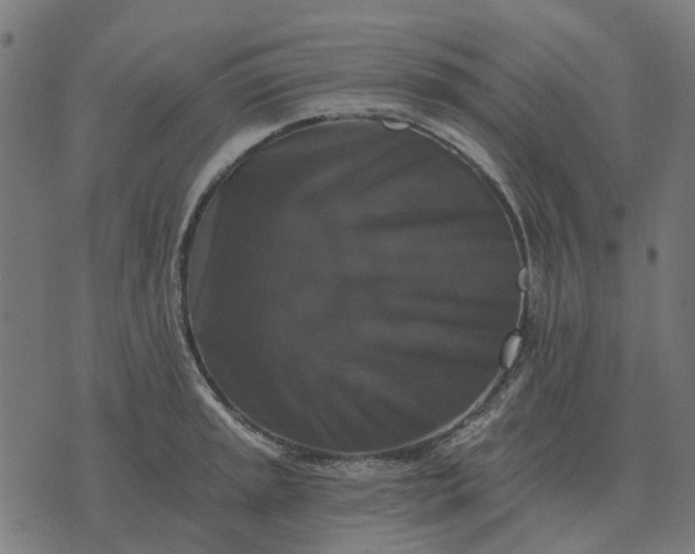 X0000070401045200606231757