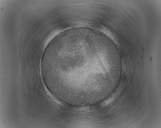 X0000070401047200606231757