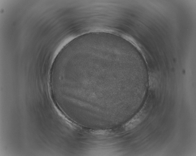 X0000070401048200606231757