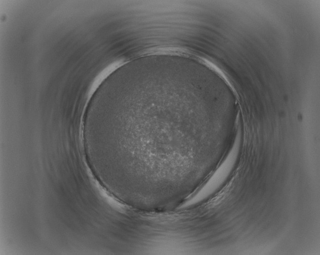 X0000070401050200606231757