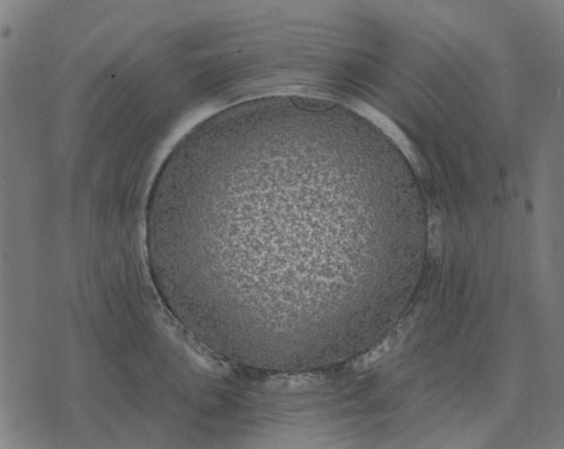 X0000070401051200606231757