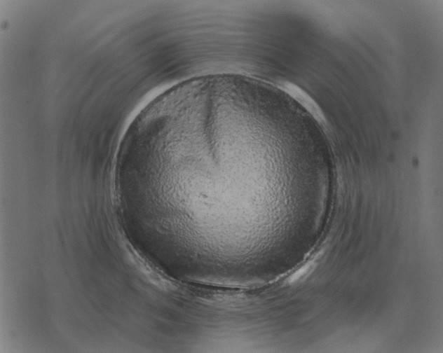 X0000070401052200606231757