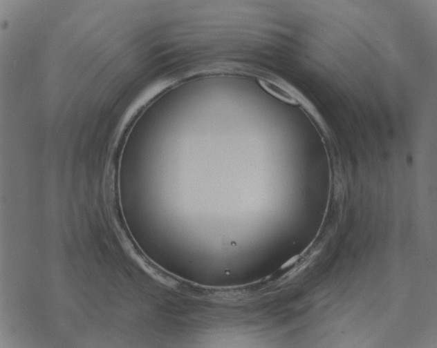 X0000070401053200606231758