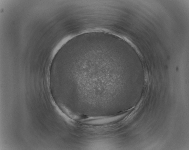 X0000070401054200606231758