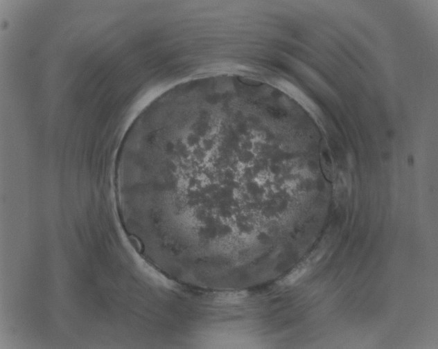 X0000070401055200606231758