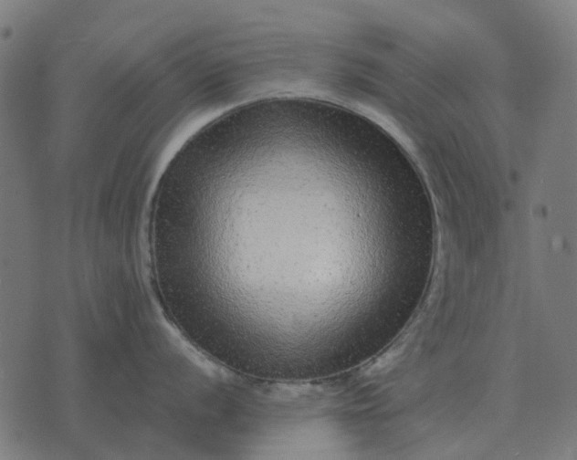 X0000070401056200606231758