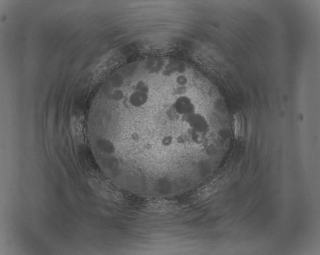 X0000070401059200606231757