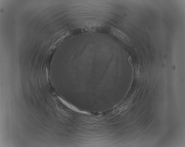 X0000070401060200606231757