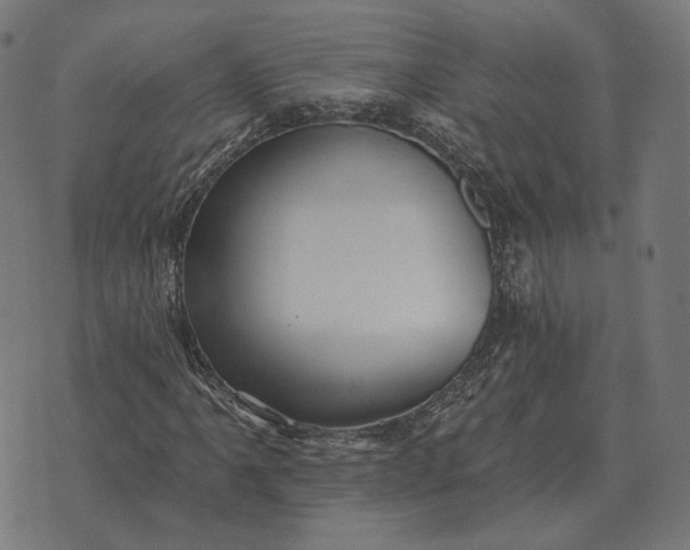 X0000070401061200606231757