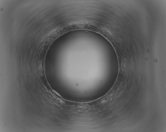 X0000070401062200606231757