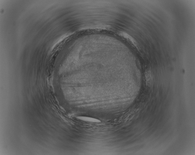 X0000070401064200606231757