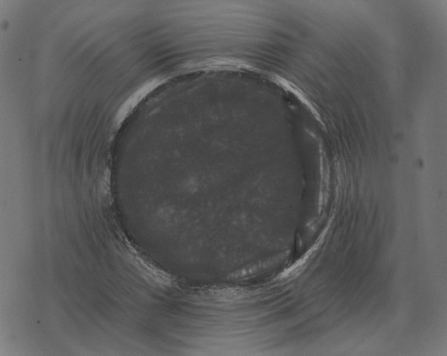 X0000070401066200606231757