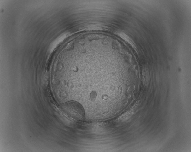 X0000070401067200606231757