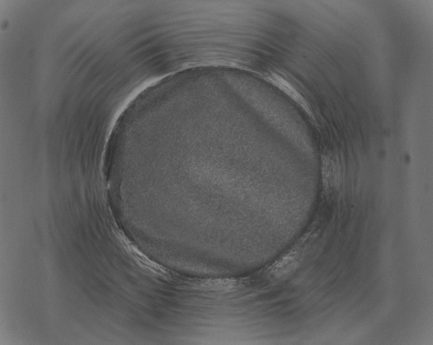 X0000070401068200606231757