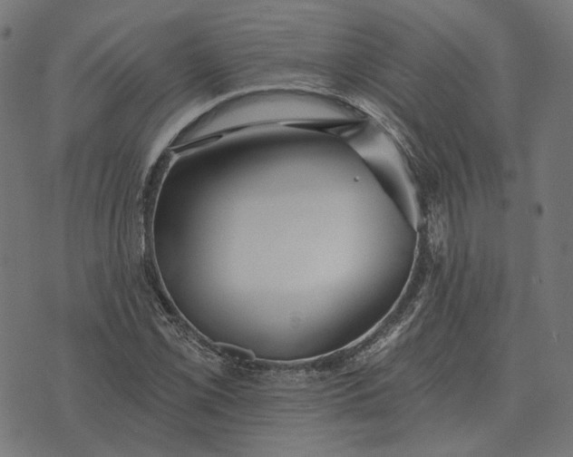 X0000070401069200606231757