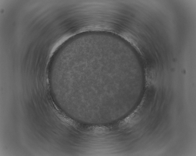 X0000070401070200606231757