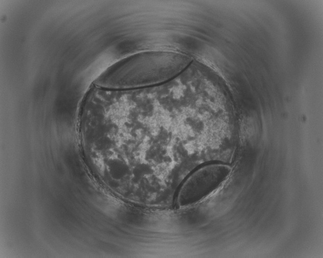 X0000070401071200606231757