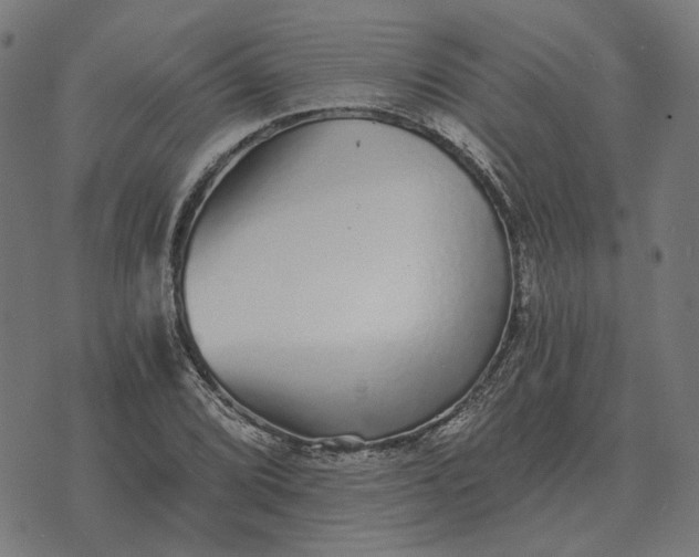 X0000070401072200606231757