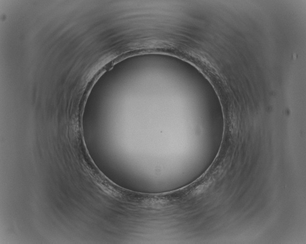 X0000070401073200606231757