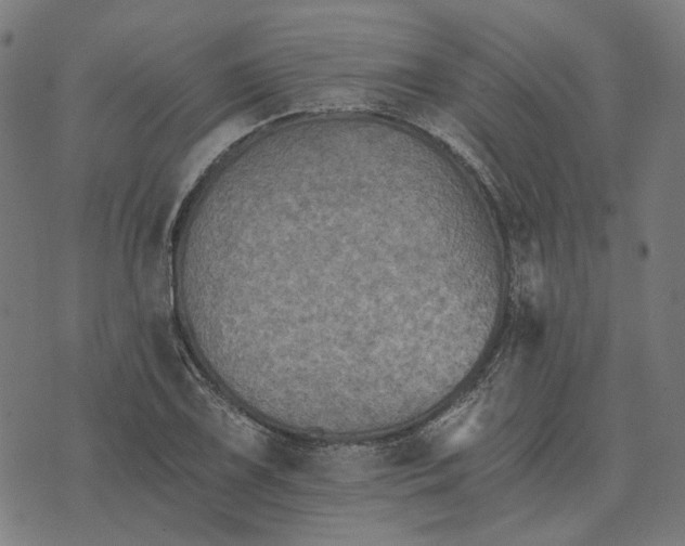 X0000070401075200606231756