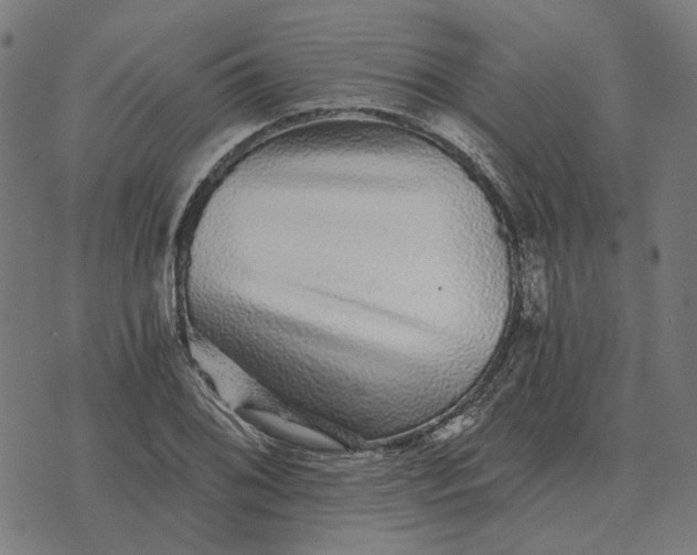 X0000070401076200606231756