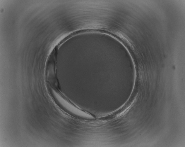 X0000070401077200606231756