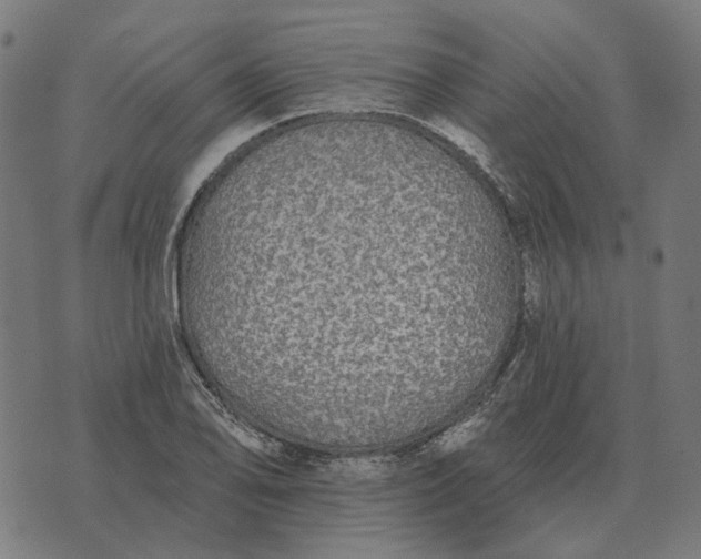 X0000070401078200606231756