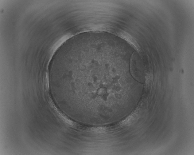 X0000070401079200606231756