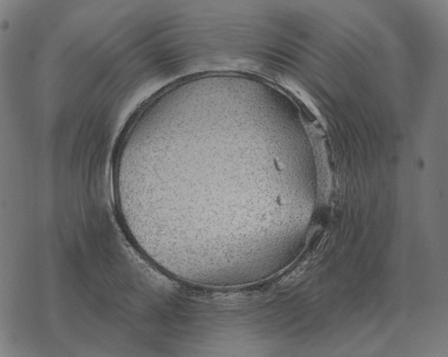 X0000070401080200606231756