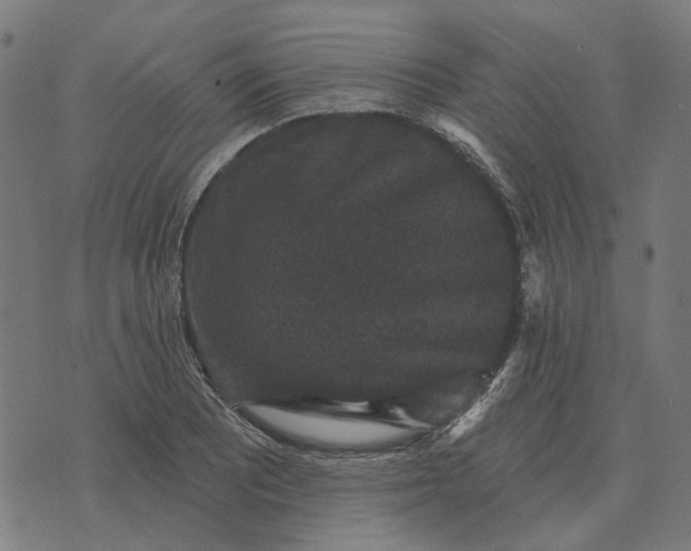 X0000070401081200606231756